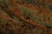 grenouilles_4