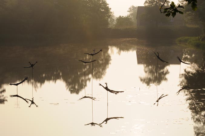 2.Etangs d'art 2008  Photo P.GLAIS