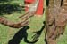 pere_et_fils6